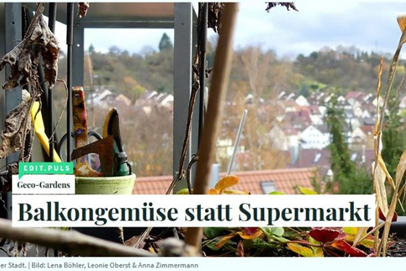 Presseartikel Balkongemüse statt Supermarkt