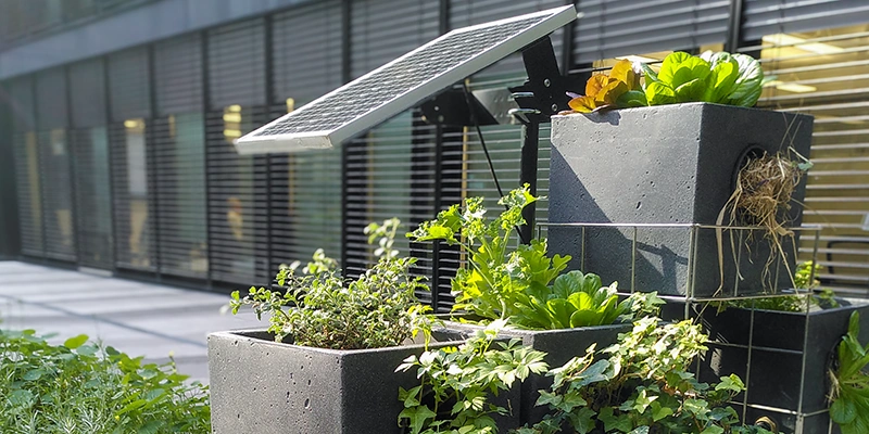 Geco-Gardens Sonnenlicht als Ressource
